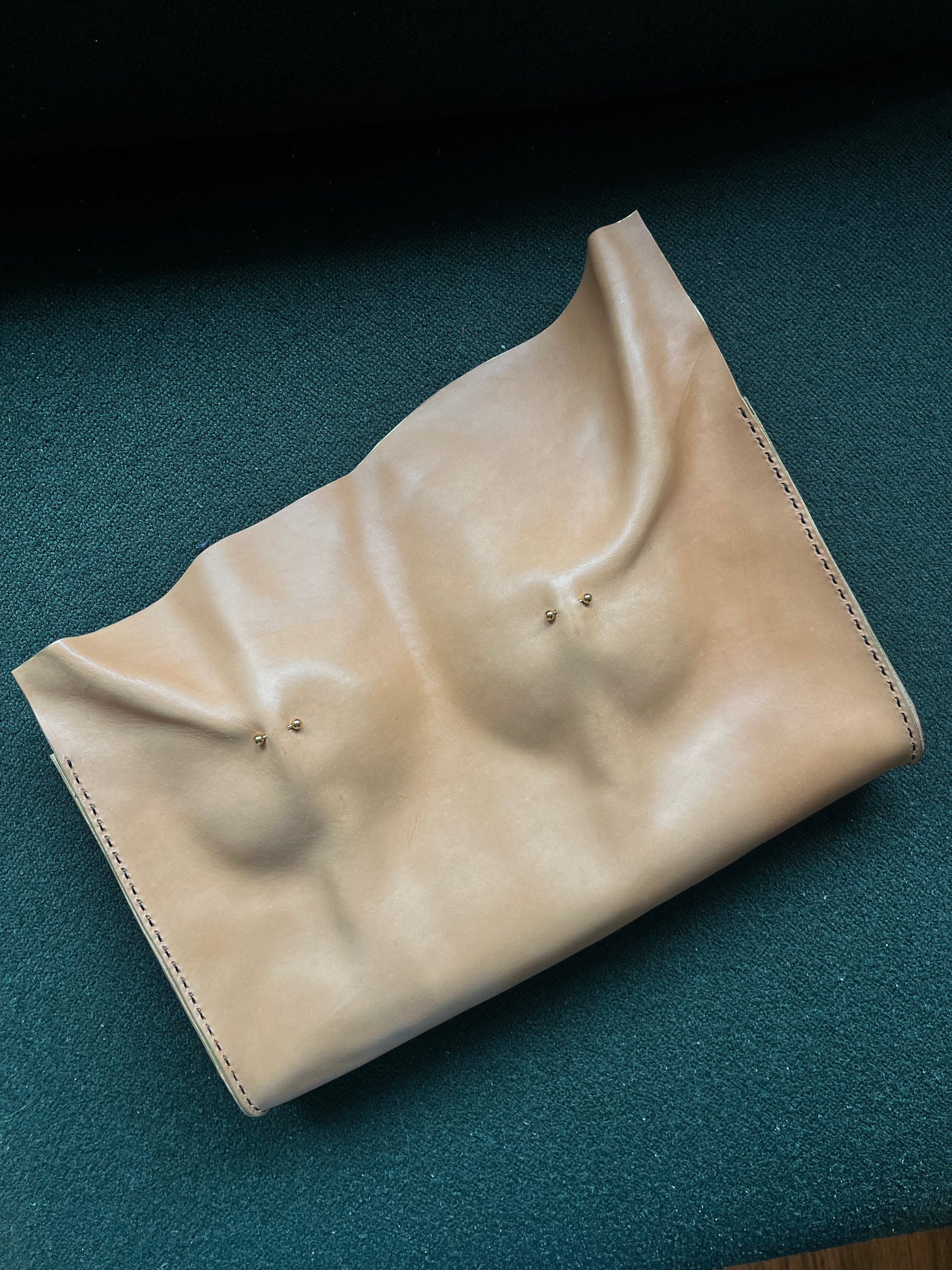 Pierced Pair Leather Bag