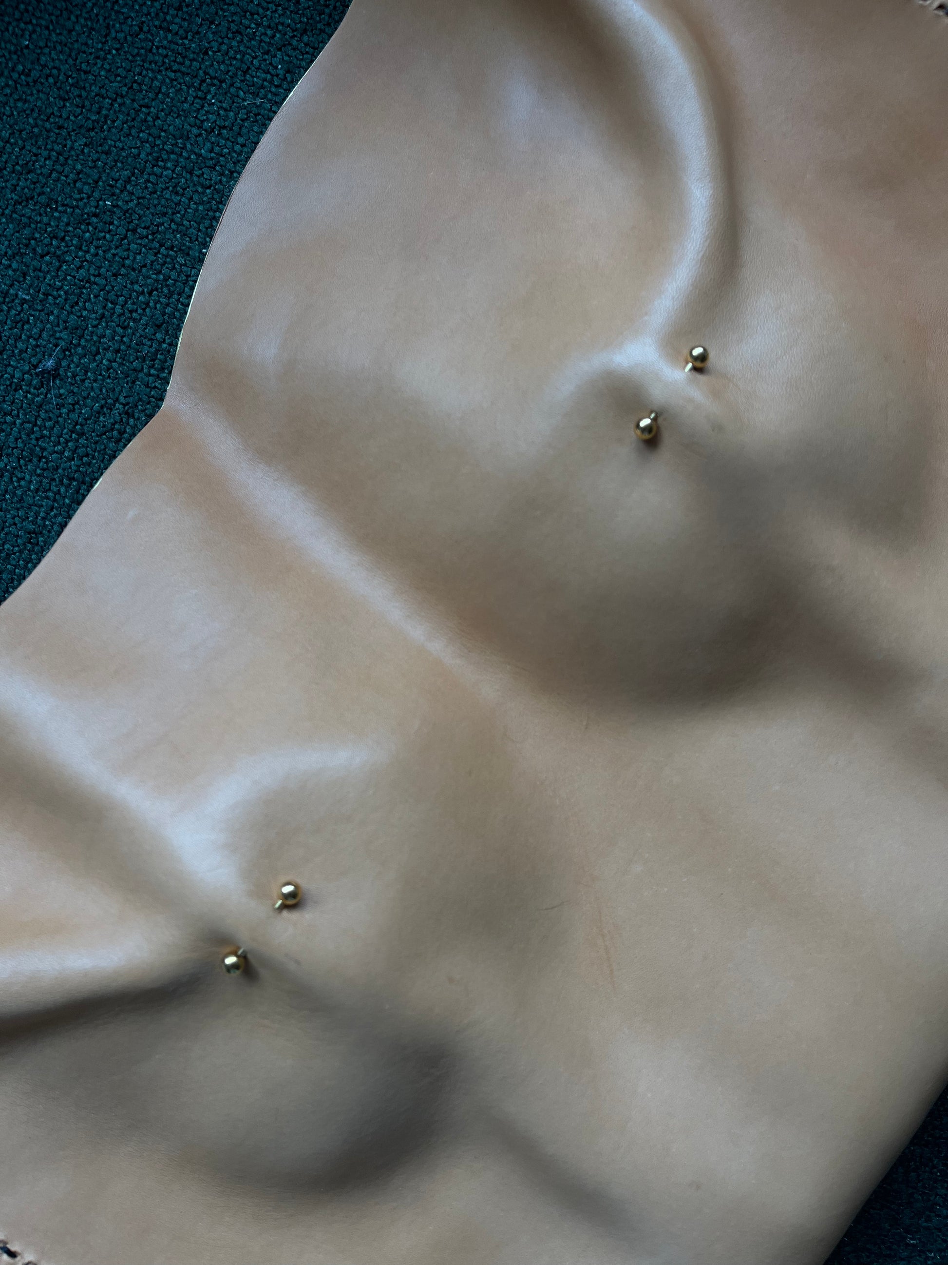 Pierced Pair Leather Bag